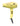 parlux_alyon_yellow